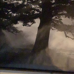 Meet your Posher, Shay